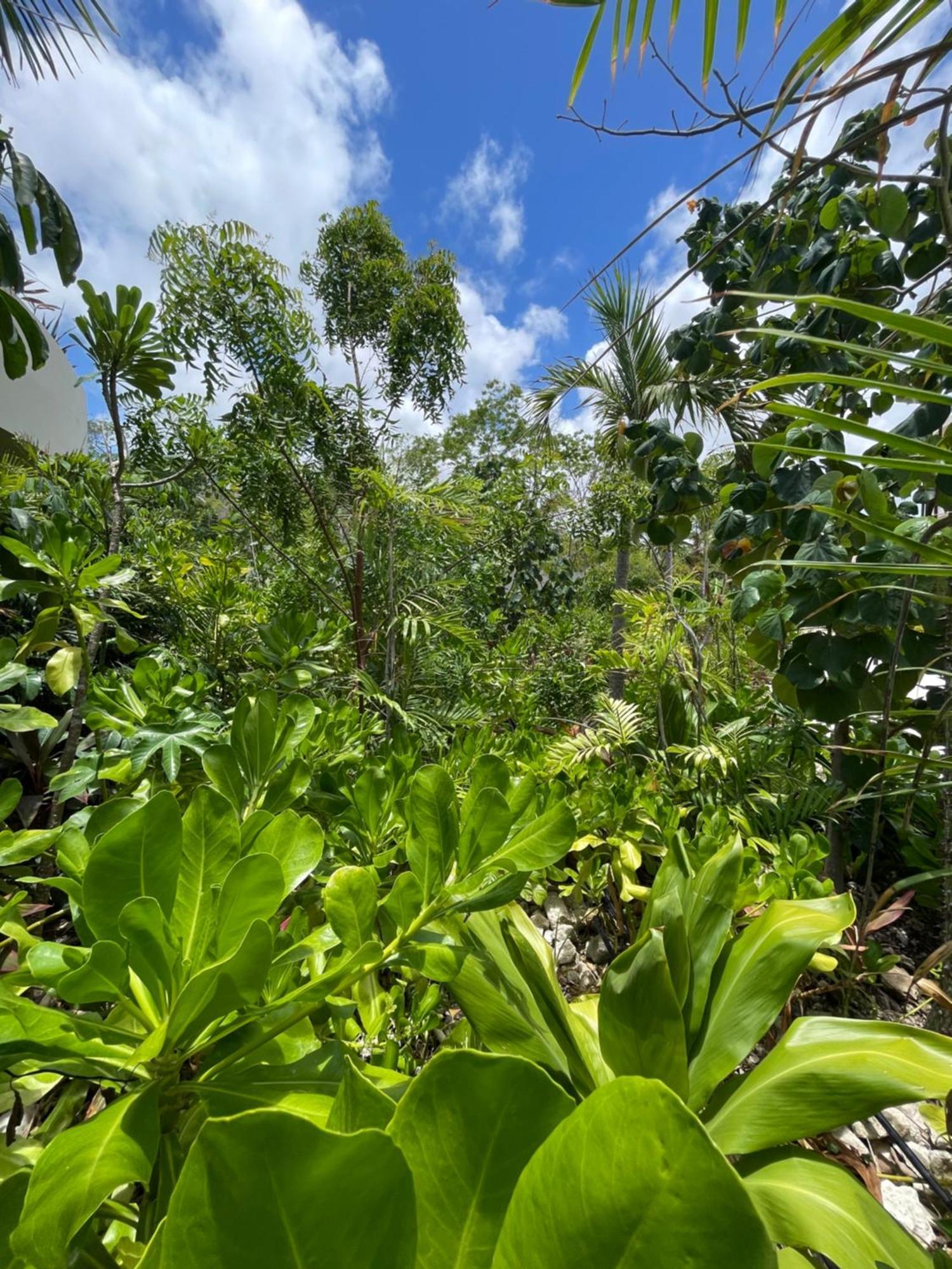 Lu'um Tulum